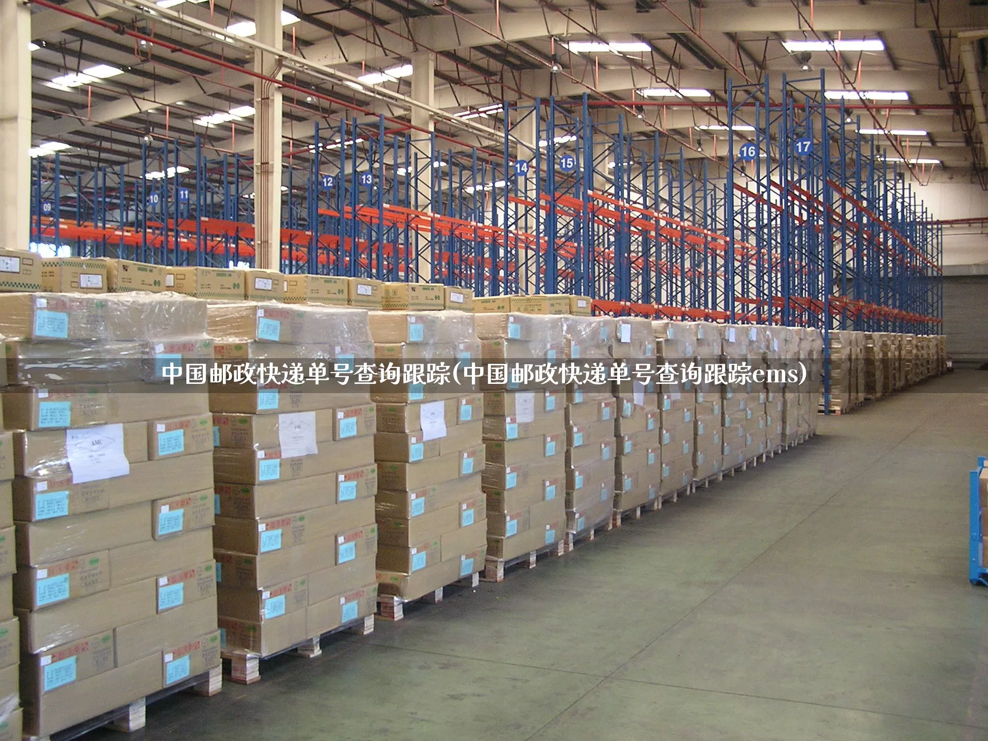 中国邮政快递单号查询跟踪(中国邮政快递单号查询跟踪ems)_https://www.senxinmaoyi.com_物流查询_第1张