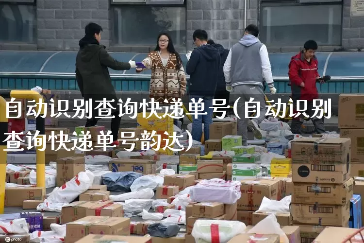 自动识别查询快递单号(自动识别查询快递单号韵达)_https://www.senxinmaoyi.com_邮政编码_第1张