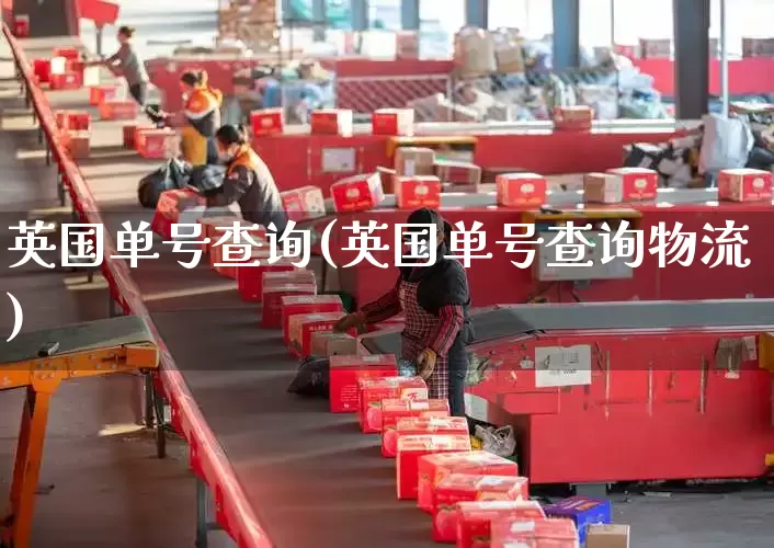 英国单号查询(英国单号查询物流)_https://www.senxinmaoyi.com_快递查询_第1张