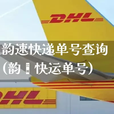 韵速快递单号查询(韵迖快运单号)_https://www.senxinmaoyi.com_物流单号_第1张