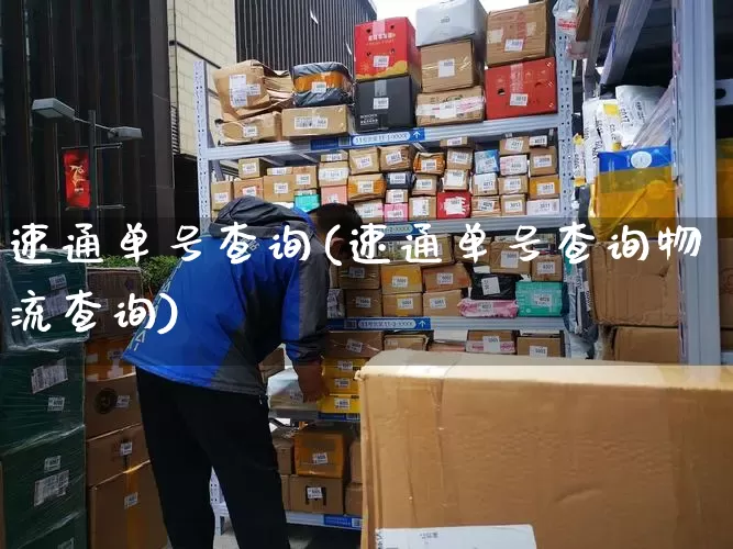 速通单号查询(速通单号查询物流查询)_https://www.senxinmaoyi.com_物流查询_第1张