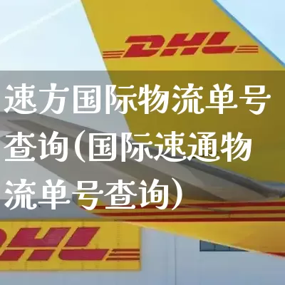 速方国际物流单号查询(国际速通物流单号查询)_https://www.senxinmaoyi.com_物流查询_第1张