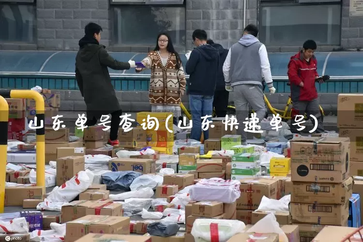 山东单号查询(山东快递单号)_https://www.senxinmaoyi.com_快递查询_第1张
