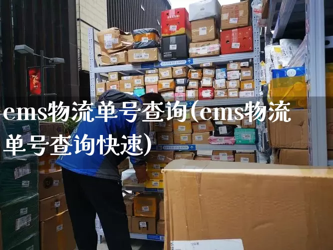 ems物流单号查询(ems物流单号查询快速)_https://www.senxinmaoyi.com_物流查询_第1张