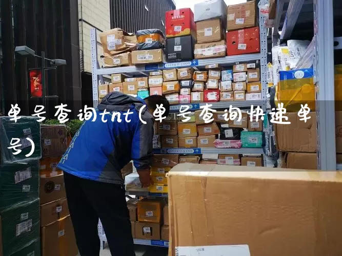 单号查询tnt(单号查询快递单号)_https://www.senxinmaoyi.com_物流查询_第1张