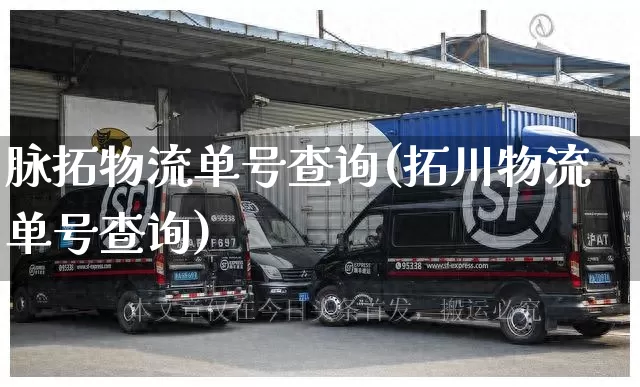 脉拓物流单号查询(拓川物流单号查询)_https://www.senxinmaoyi.com_邮政编码_第1张