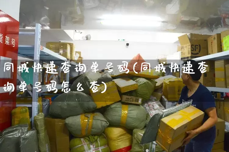 同城快递查询单号码(同城快递查询单号码怎么查)_https://www.senxinmaoyi.com_物流查询_第1张