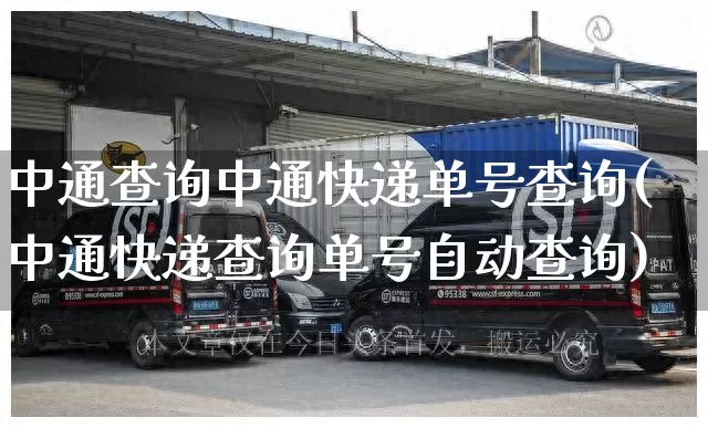 中通查询中通快递单号查询(中通快递查询单号自动查询)_https://www.senxinmaoyi.com_物流单号_第1张