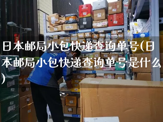 日本邮局小包快递查询单号(日本邮局小包快递查询单号是什么)_https://www.senxinmaoyi.com_邮政编码_第1张