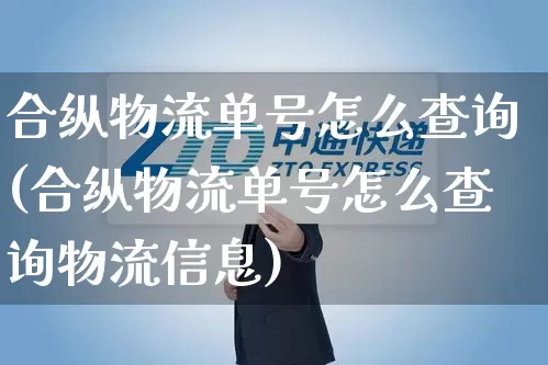 合纵物流单号怎么查询(合纵物流单号怎么查询物流信息)_https://www.senxinmaoyi.com_物流单号_第1张