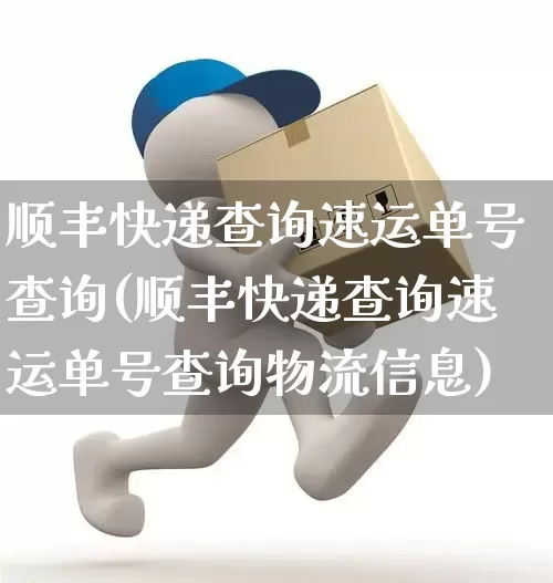 顺丰快递查询速运单号查询(顺丰快递查询速运单号查询物流信息)_https://www.senxinmaoyi.com_物流单号_第1张