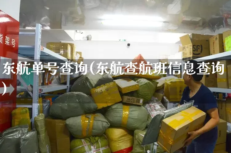 东航单号查询(东航查航班信息查询)_https://www.senxinmaoyi.com_快递查询_第1张