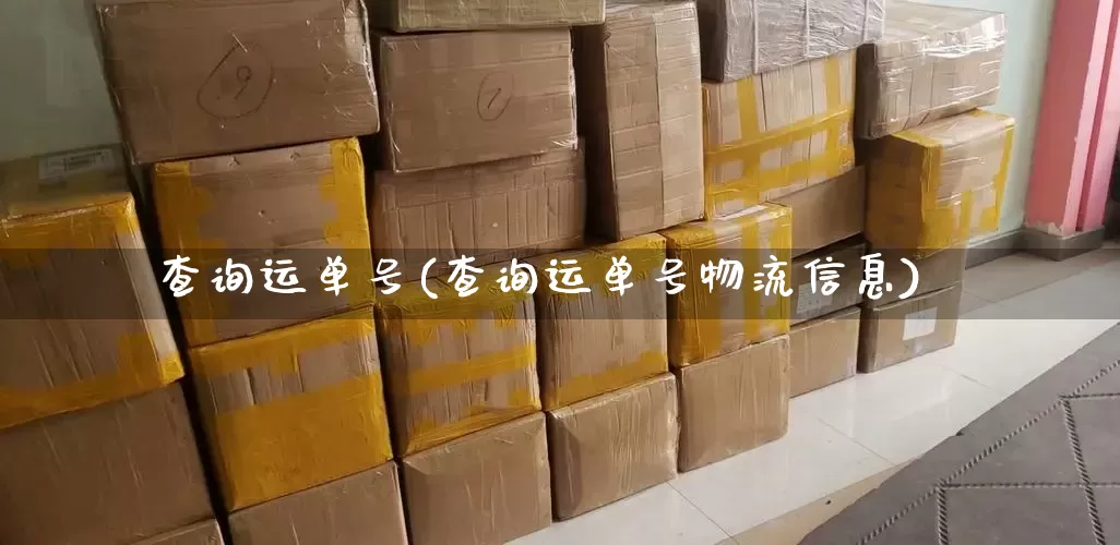 查询运单号(查询运单号物流信息)_https://www.senxinmaoyi.com_快递查询_第1张
