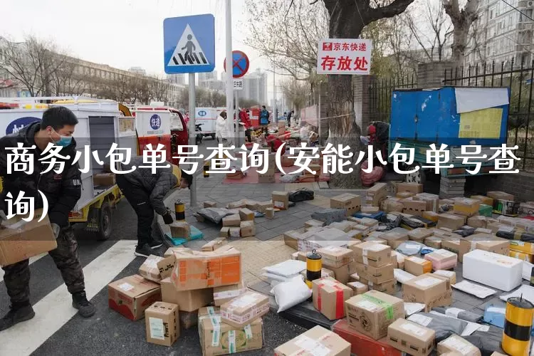 商务小包单号查询(安能小包单号查询)_https://www.senxinmaoyi.com_物流单号_第1张