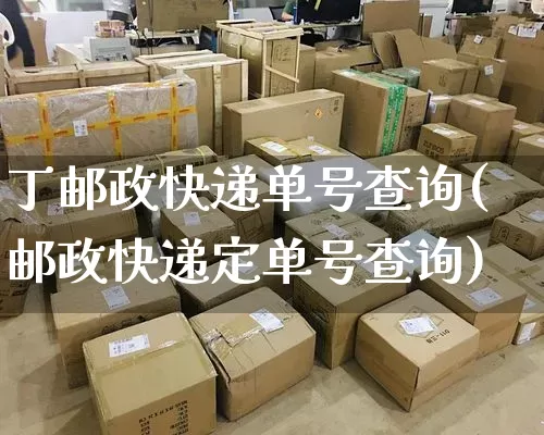 丁邮政快递单号查询(邮政快递定单号查询)_https://www.senxinmaoyi.com_物流单号_第1张