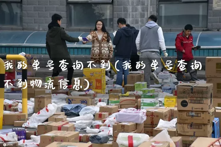 我的单号查询不到(我的单号查询不到物流信息)_https://www.senxinmaoyi.com_物流单号_第1张