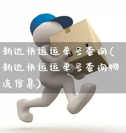 韵达快运运单号查询(韵达快运运单号查询物流信息)_https://www.senxinmaoyi.com_物流单号_第1张