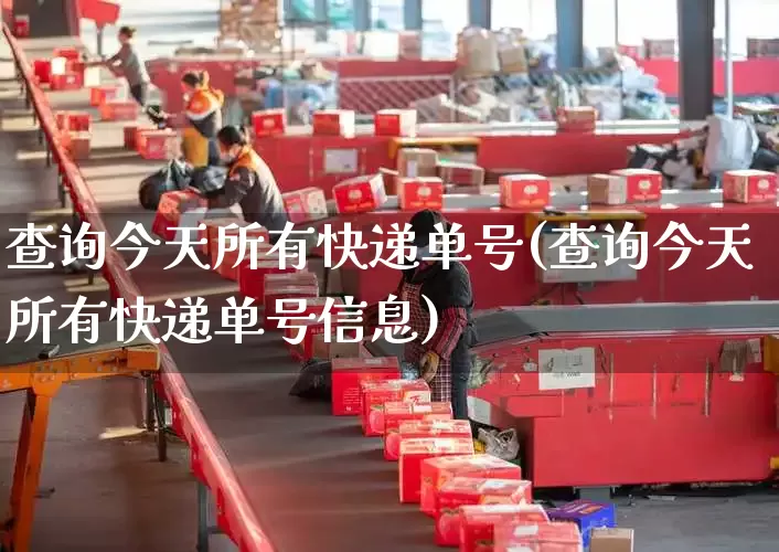查询今天所有快递单号(查询今天所有快递单号信息)_https://www.senxinmaoyi.com_邮政编码_第1张