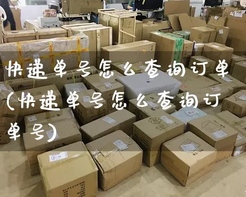 快递单号怎么查询订单(快递单号怎么查询订单号)_https://www.senxinmaoyi.com_邮政编码_第1张