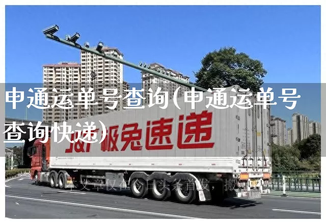 申通运单号查询(申通运单号查询快递)_https://www.senxinmaoyi.com_邮政编码_第1张