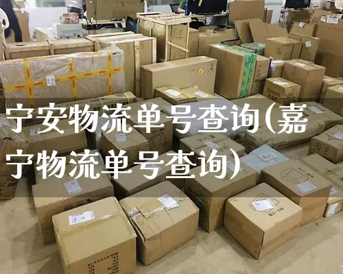 宁安物流单号查询(嘉宁物流单号查询)_https://www.senxinmaoyi.com_邮政编码_第1张