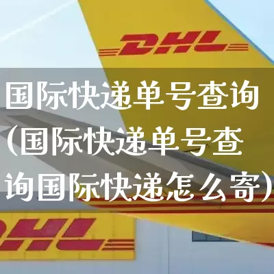 国际快递单号查询(国际快递单号查询国际快递怎么寄)_https://www.senxinmaoyi.com_物流查询_第1张