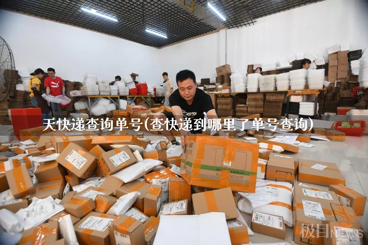 天快递查询单号(查快递到哪里了单号查询)_https://www.senxinmaoyi.com_物流单号_第1张
