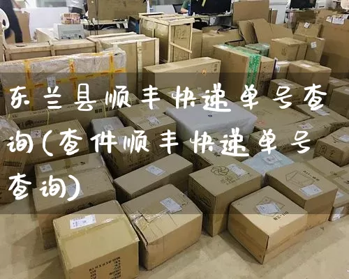 东兰县顺丰快递单号查询(查件顺丰快递单号查询)_https://www.senxinmaoyi.com_物流单号_第1张