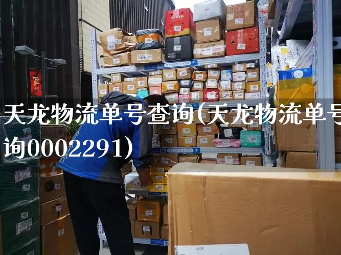 天龙物流单号查询(天龙物流单号查询0002291)_https://www.senxinmaoyi.com_物流查询_第1张