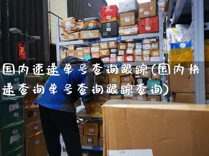 国内速递单号查询跟踪(国内快递查询单号查询跟踪查询)_https://www.senxinmaoyi.com_物流单号_第1张