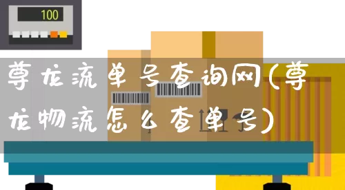 尊龙流单号查询网(尊龙物流怎么查单号)_https://www.senxinmaoyi.com_快递查询_第1张