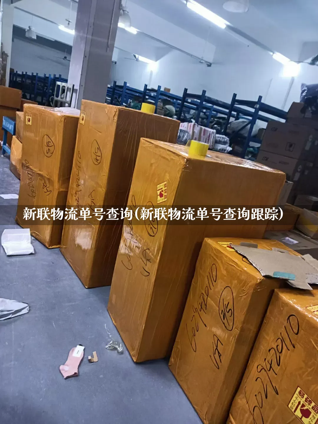 新联物流单号查询(新联物流单号查询跟踪)_https://www.senxinmaoyi.com_快递查询_第1张