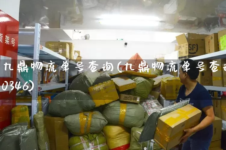 九鼎物流单号查询(九鼎物流单号查询0346)_https://www.senxinmaoyi.com_快递查询_第1张