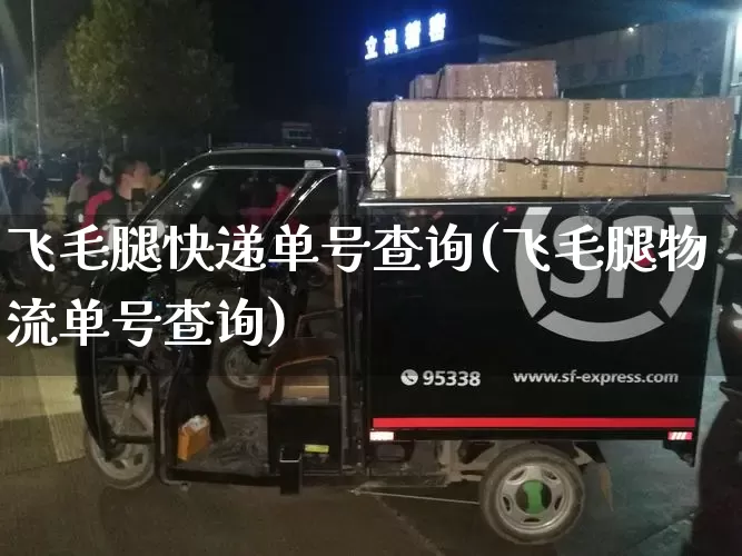 飞毛腿快递单号查询(飞毛腿物流单号查询)_https://www.senxinmaoyi.com_物流查询_第1张