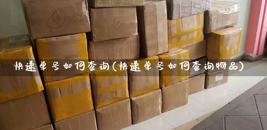 快递单号如何查询(快递单号如何查询物品)_https://www.senxinmaoyi.com_物流查询_第1张