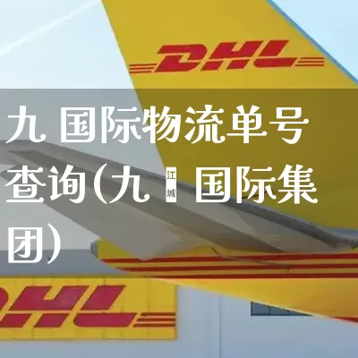 九 国际物流单号查询(九抮国际集团)_https://www.senxinmaoyi.com_邮政编码_第1张