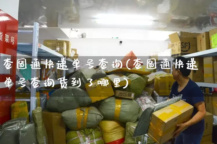 查圆通快递单号查询(查圆通快递单号查询货到了哪里)_https://www.senxinmaoyi.com_快递查询_第1张