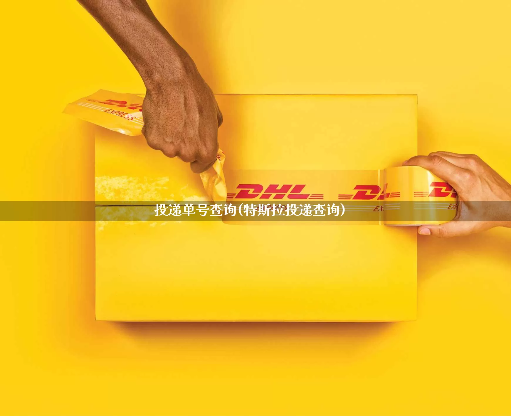 投递单号查询(特斯拉投递查询)_https://www.senxinmaoyi.com_物流单号_第1张
