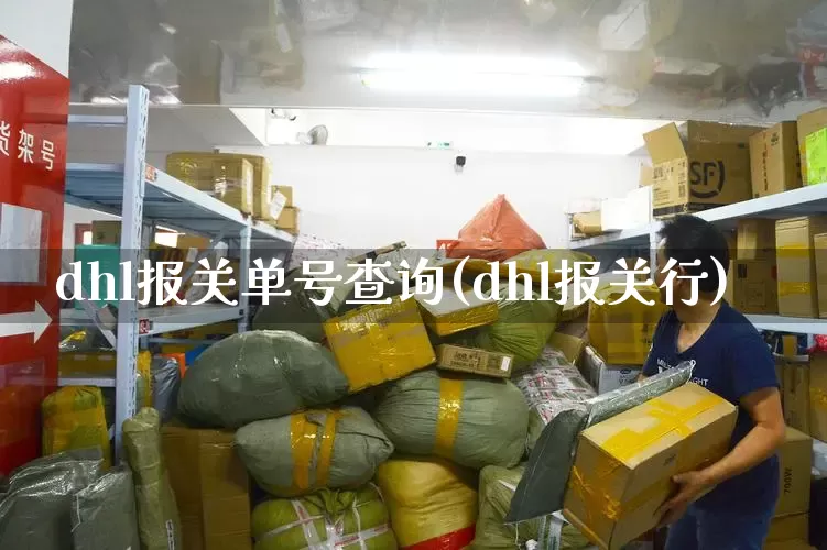 dhl报关单号查询(dhl报关行)_https://www.senxinmaoyi.com_物流单号_第1张