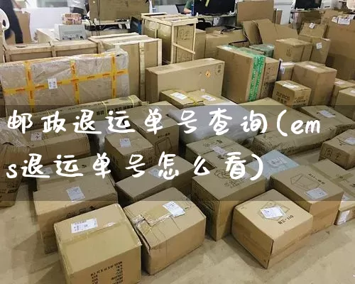 邮政退运单号查询(ems退运单号怎么看)_https://www.senxinmaoyi.com_物流单号_第1张