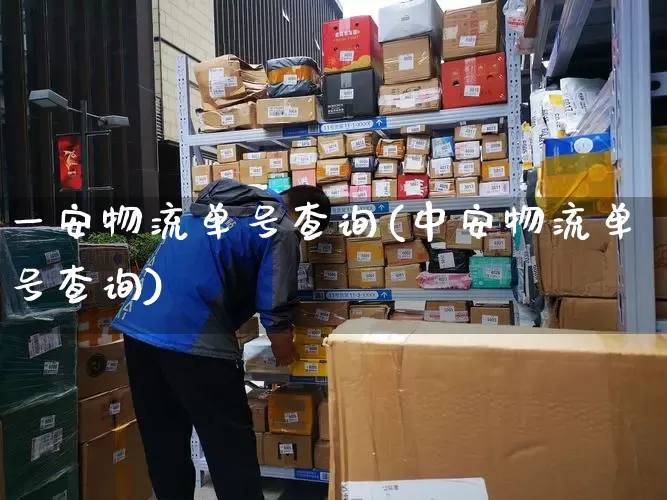 一安物流单号查询(中安物流单号查询)_https://www.senxinmaoyi.com_邮政编码_第1张