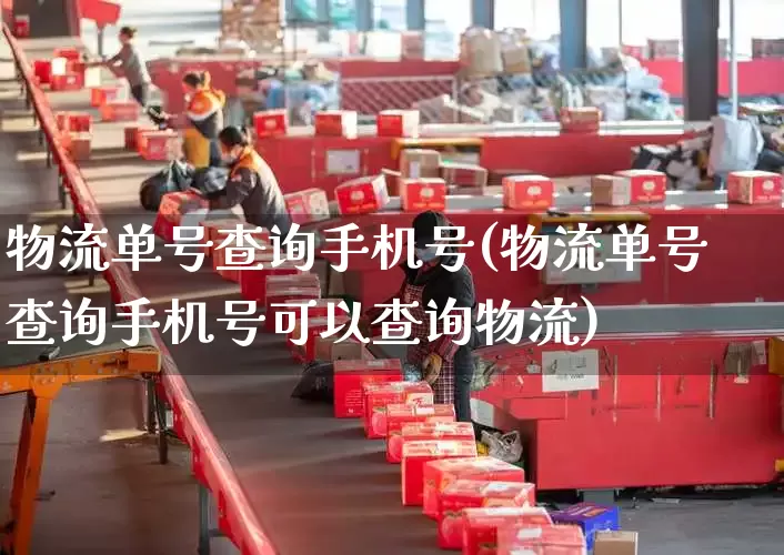 物流单号查询手机号(物流单号查询手机号可以查询物流)_https://www.senxinmaoyi.com_邮政编码_第1张