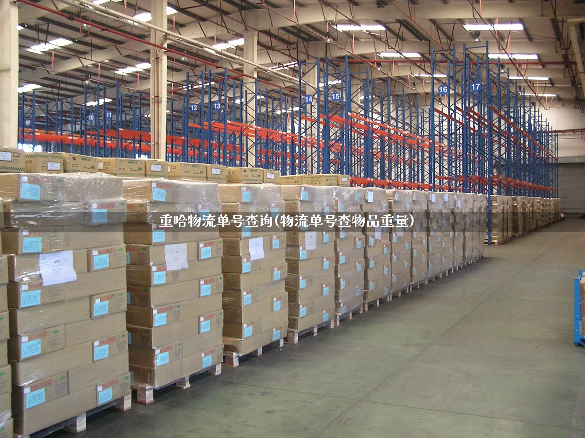 重哈物流单号查询(物流单号查物品重量)_https://www.senxinmaoyi.com_物流单号_第1张