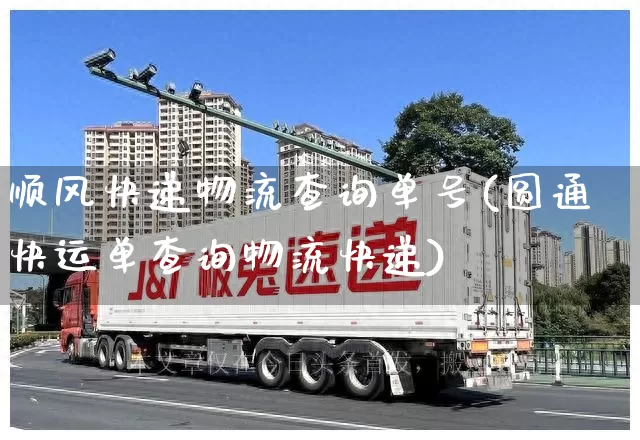 顺风快递物流查询单号(圆通快运单查询物流快递)_https://www.senxinmaoyi.com_邮政编码_第1张
