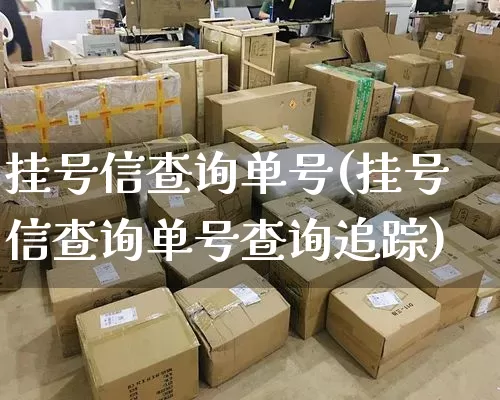 挂号信查询单号(挂号信查询单号查询追踪)_https://www.senxinmaoyi.com_物流查询_第1张