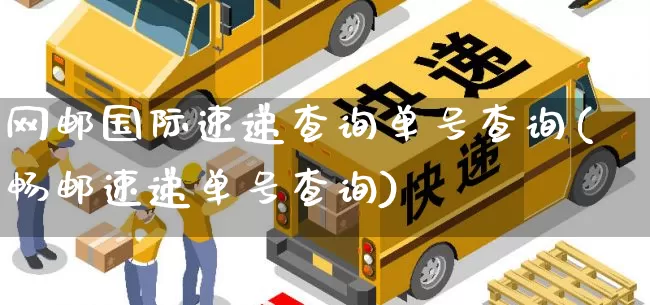 网邮国际速递查询单号查询(畅邮速递单号查询)_https://www.senxinmaoyi.com_快递查询_第1张