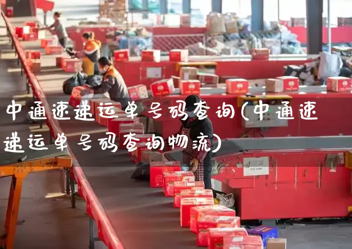 中通速递运单号码查询(中通速递运单号码查询物流)_https://www.senxinmaoyi.com_物流查询_第1张