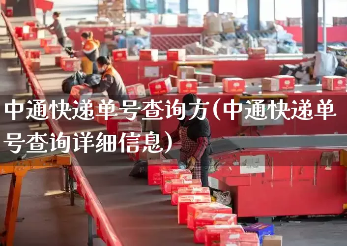 中通快递单号查询方(中通快递单号查询详细信息)_https://www.senxinmaoyi.com_邮政编码_第1张