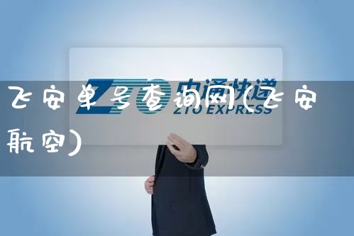 飞安单号查询网(飞安航空)_https://www.senxinmaoyi.com_邮政编码_第1张