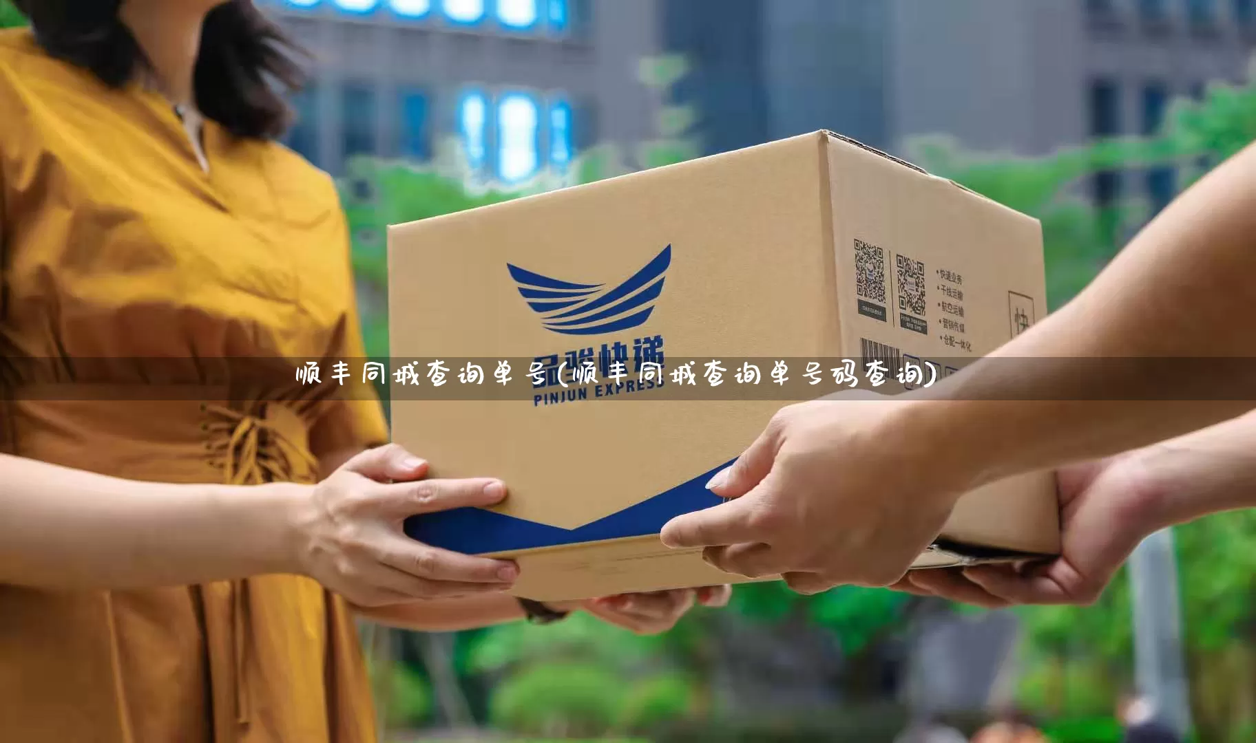 顺丰同城查询单号(顺丰同城查询单号码查询)_https://www.senxinmaoyi.com_物流单号_第1张
